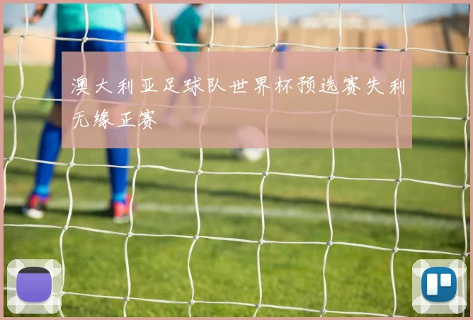 澳大利亚足球队世界杯预选赛失利无缘正赛