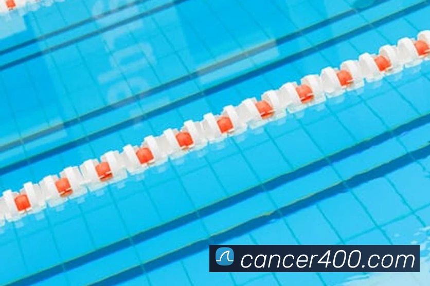 开云网页版在线登录app平台生态图