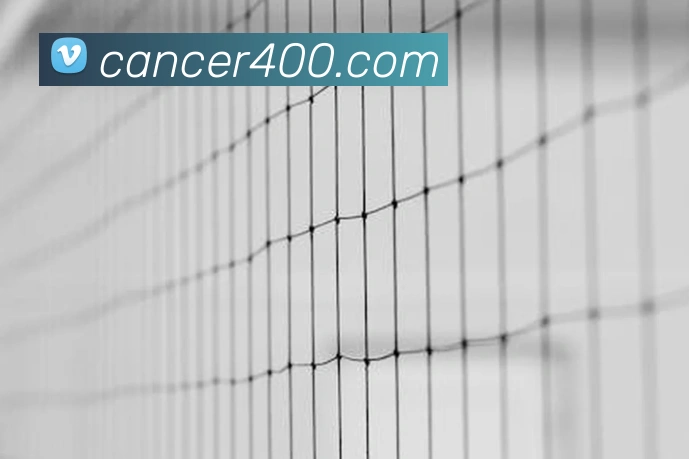 开云网页版在线登录app全站App 开云网页版在线登录app全站App